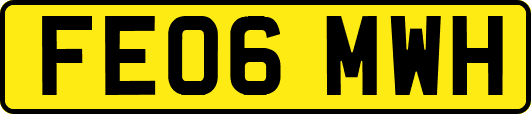 FE06MWH