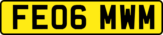 FE06MWM
