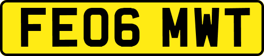 FE06MWT