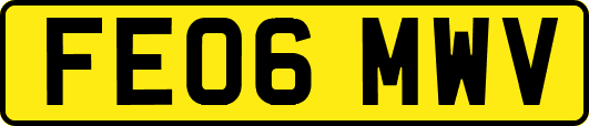 FE06MWV