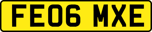 FE06MXE