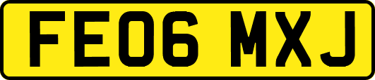 FE06MXJ