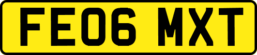 FE06MXT