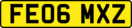 FE06MXZ