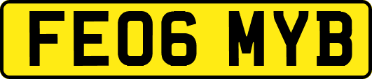 FE06MYB