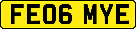 FE06MYE