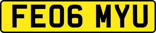 FE06MYU