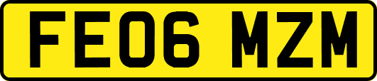 FE06MZM