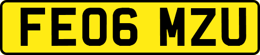 FE06MZU