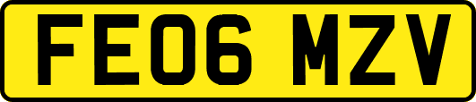 FE06MZV