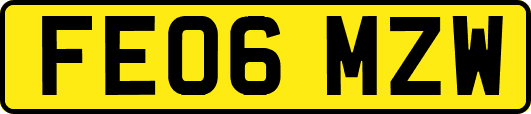 FE06MZW