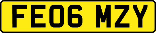 FE06MZY