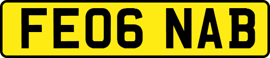 FE06NAB