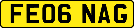 FE06NAG