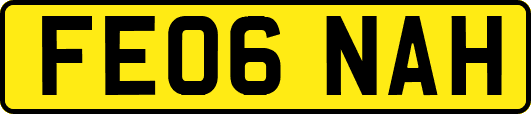 FE06NAH