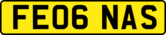 FE06NAS