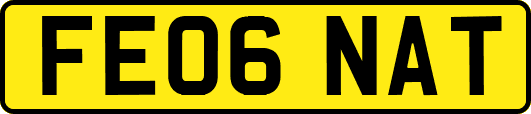 FE06NAT