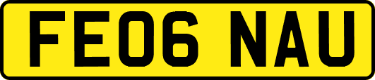 FE06NAU