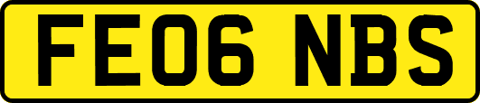 FE06NBS