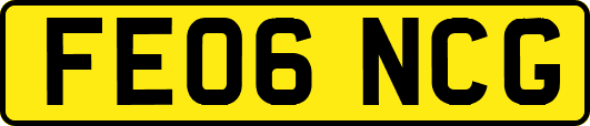 FE06NCG