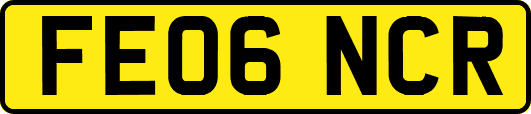 FE06NCR