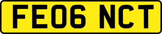 FE06NCT