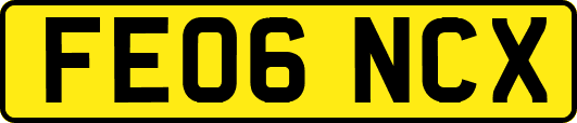 FE06NCX
