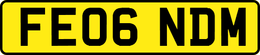FE06NDM