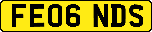 FE06NDS