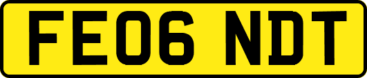 FE06NDT