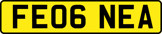 FE06NEA