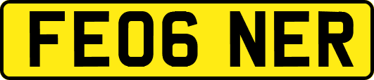 FE06NER