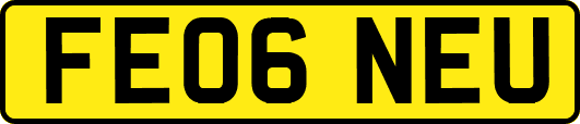 FE06NEU