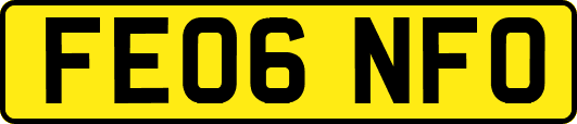FE06NFO