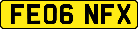 FE06NFX