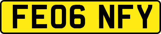 FE06NFY
