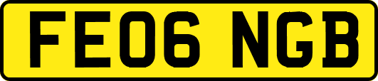 FE06NGB