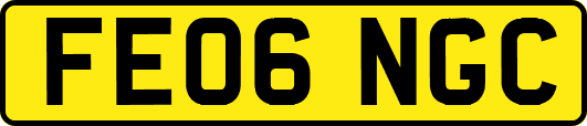 FE06NGC