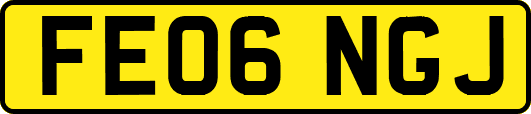 FE06NGJ