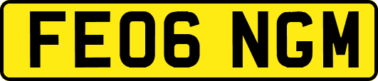FE06NGM