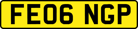 FE06NGP