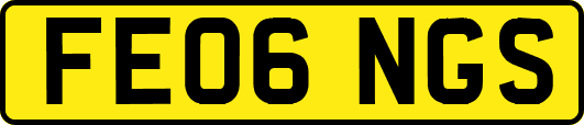 FE06NGS