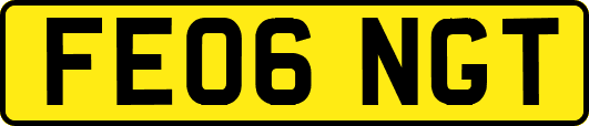 FE06NGT