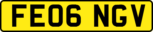 FE06NGV