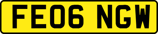FE06NGW