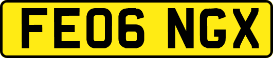 FE06NGX