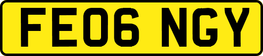 FE06NGY