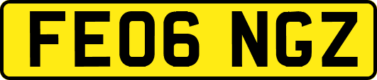 FE06NGZ
