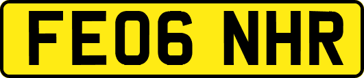FE06NHR