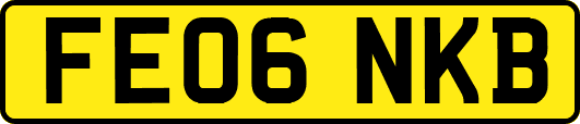 FE06NKB